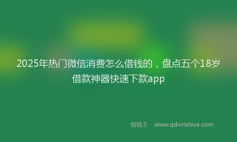 2025年热门微信消费怎么借钱的，盘点五个18岁借款神器快速下款app