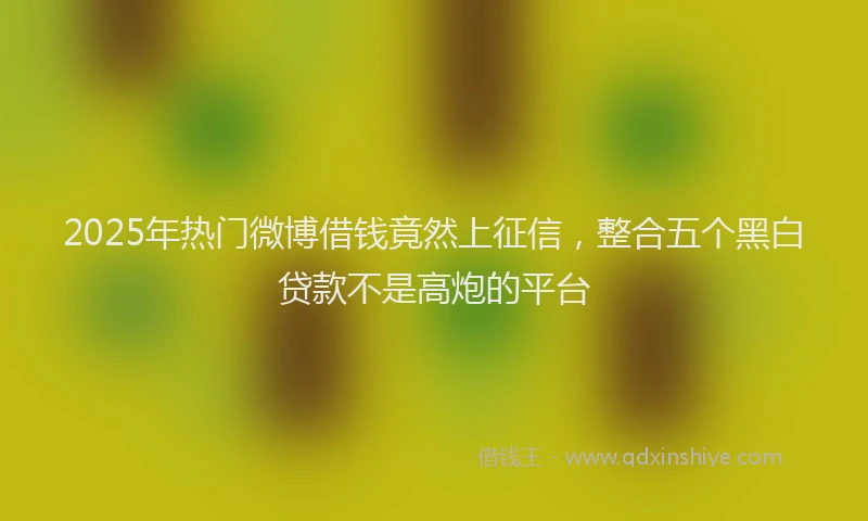2025年热门微博借钱竟然上征信，整合五个黑白贷款不是高炮的平台