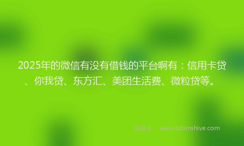2025年的微信有没有借钱的平台啊有：信用卡贷、你我贷、东方汇、美团生活费、微粒贷等。