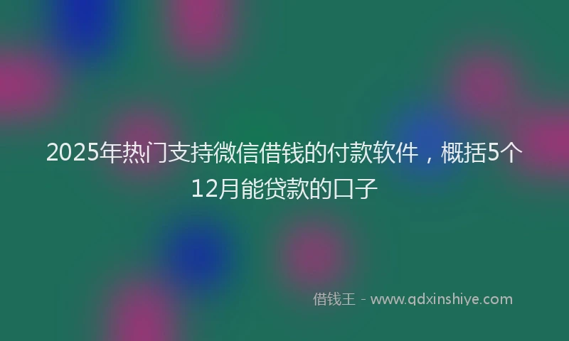2025年热门支持微信借钱的付款软件，概括5个12月能贷款的口子