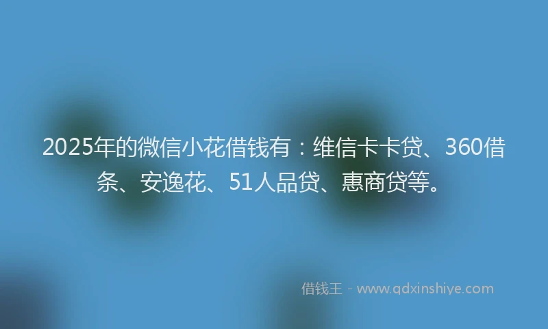 2025年的微信小花借钱有：维信卡卡贷、360借条、安逸花、51人品贷、惠商贷等。