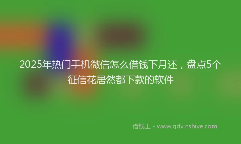 2025年热门手机微信怎么借钱下月还，盘点5个征信花居然都下款的软件
