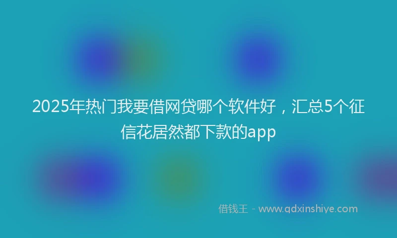 2025年热门我要借网贷哪个软件好，汇总5个征信花居然都下款的app