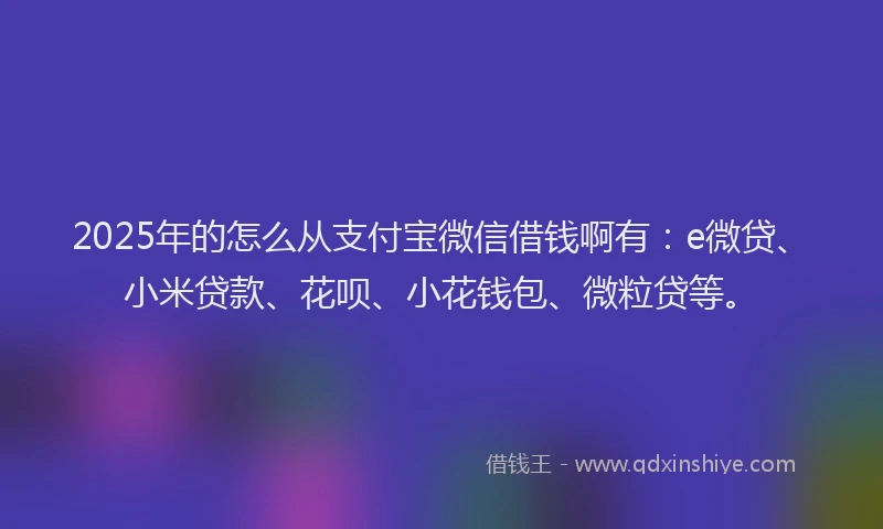 2025年的怎么从支付宝微信借钱啊有：e微贷、小米贷款、花呗、小花钱包、微粒贷等。