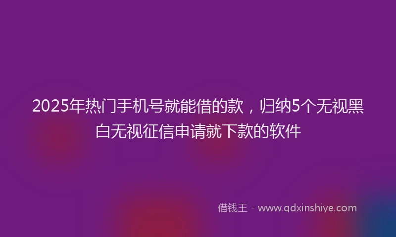 2025年热门手机号就能借的款，归纳5个无视黑白无视征信申请就下款的软件