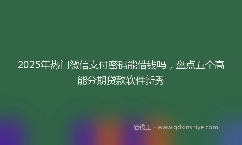 2025年热门微信支付密码能借钱吗，盘点五个高能分期贷款软件新秀