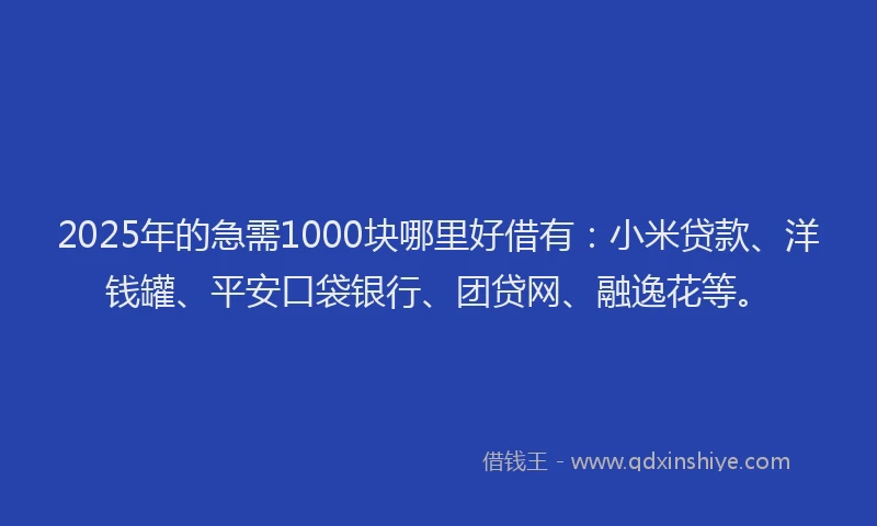 2025年的急需1000块哪里好借有：小米贷款、洋钱罐、平安口袋银行、团贷网、融逸花等。