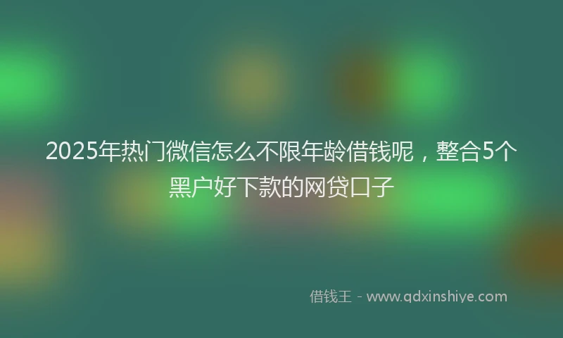 2025年热门微信怎么不限年龄借钱呢，整合5个黑户好下款的网贷口子