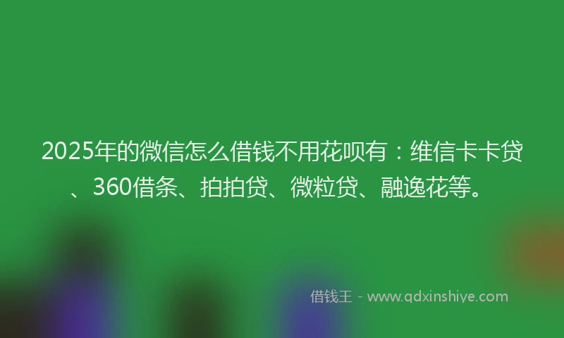 2025年的微信怎么借钱不用花呗有：维信卡卡贷、360借条、拍拍贷、微粒贷、融逸花等。