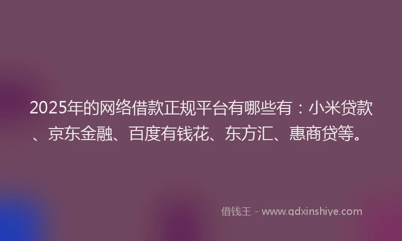 2025年的网络借款正规平台有哪些有：小米贷款、京东金融、百度有钱花、东方汇、惠商贷等。