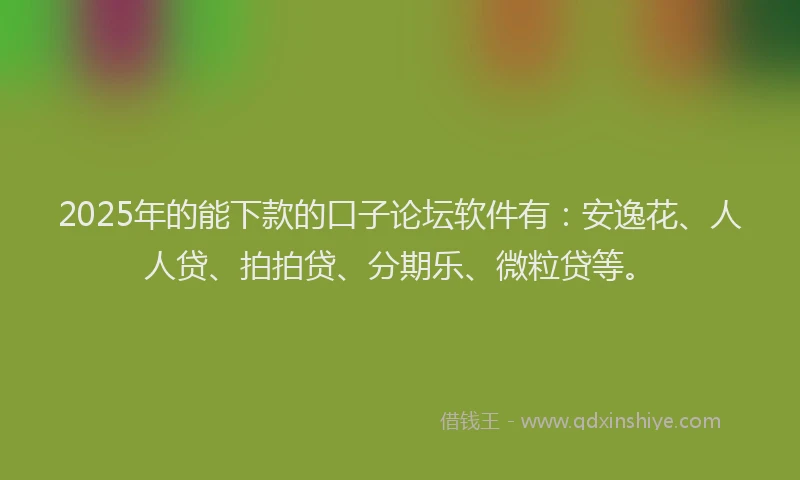 2025年的能下款的口子论坛软件有：安逸花、人人贷、拍拍贷、分期乐、微粒贷等。