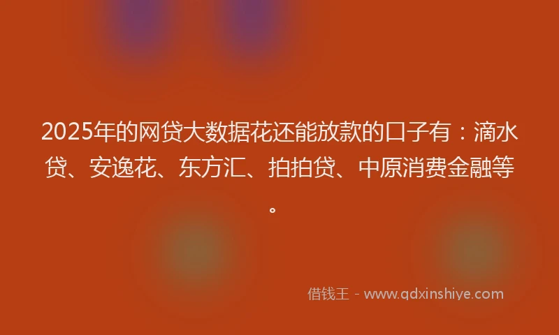 2025年的网贷大数据花还能放款的口子有：滴水贷、安逸花、东方汇、拍拍贷、中原消费金融等。