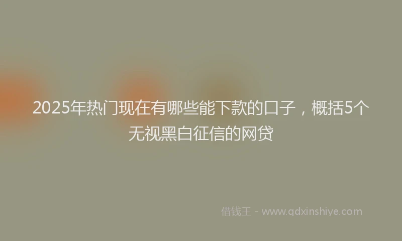 2025年热门现在有哪些能下款的口子，概括5个无视黑白征信的网贷