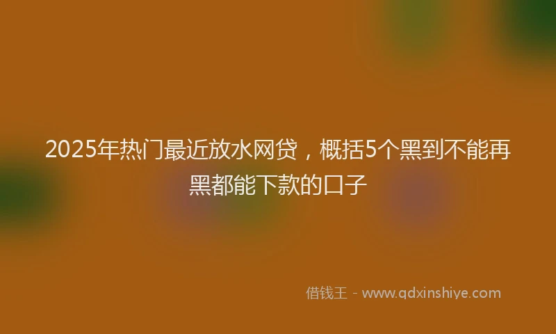 2025年热门最近放水网贷，概括5个黑到不能再黑都能下款的口子