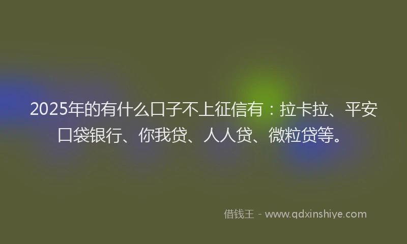 2025年的有什么口子不上征信有：拉卡拉、平安口袋银行、你我贷、人人贷、微粒贷等。