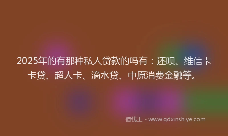 2025年的有那种私人贷款的吗有：还呗、维信卡卡贷、超人卡、滴水贷、中原消费金融等。