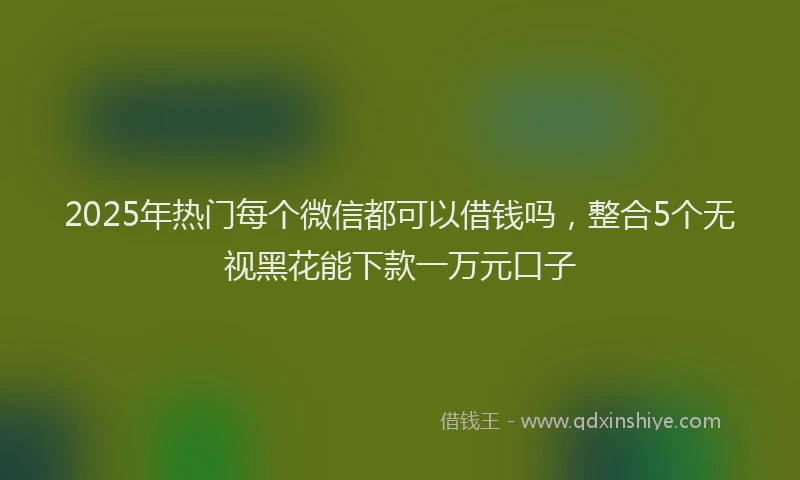 2025年热门每个微信都可以借钱吗，整合5个无视黑花能下款一万元口子