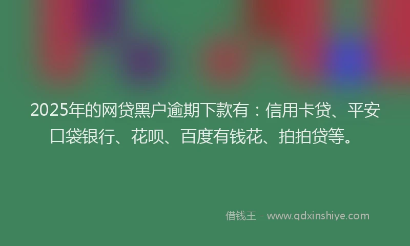 2025年的网贷黑户逾期下款有：信用卡贷、平安口袋银行、花呗、百度有钱花、拍拍贷等。
