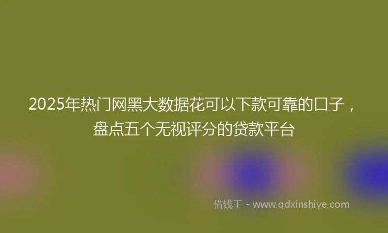 2025年热门网黑大数据花可以下款可靠的口子，盘点五个无视评分的贷款平台