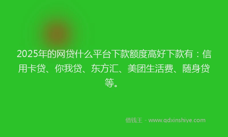 2025年的网贷什么平台下款额度高好下款有：信用卡贷、你我贷、东方汇、美团生活费、随身贷等。