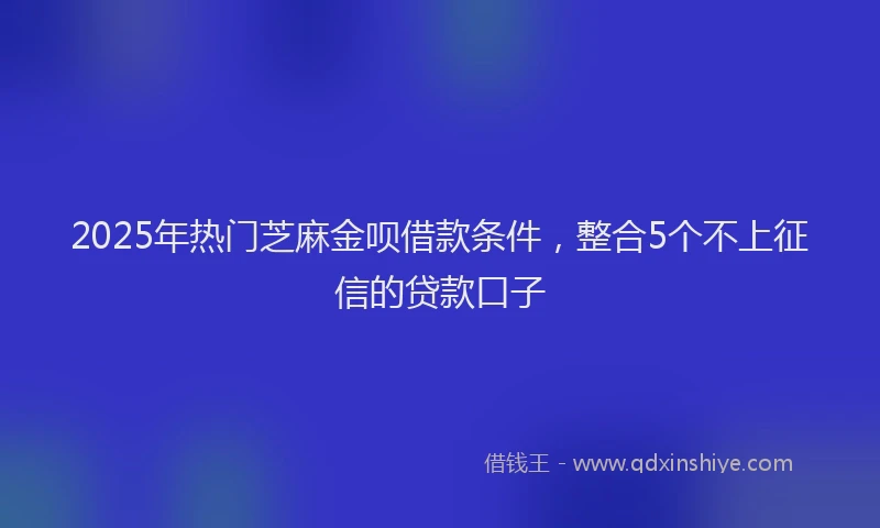 2025年热门芝麻金呗借款条件，整合5个不上征信的贷款口子