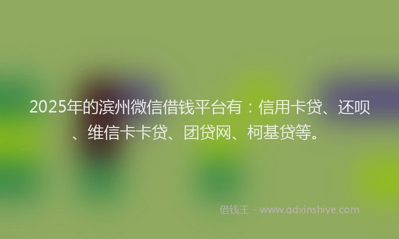 2025年的滨州微信借钱平台有：信用卡贷、还呗、维信卡卡贷、团贷网、柯基贷等。