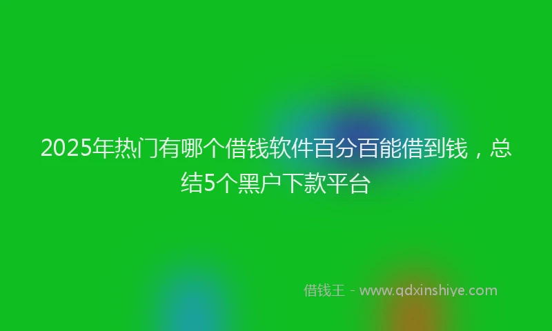 2025年热门有哪个借钱软件百分百能借到钱，总结5个黑户下款平台