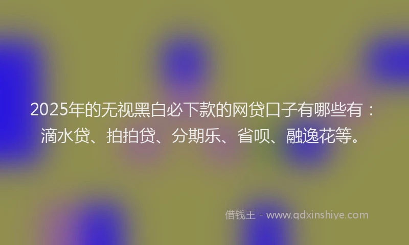 2025年的无视黑白必下款的网贷口子有哪些有：滴水贷、拍拍贷、分期乐、省呗、融逸花等。