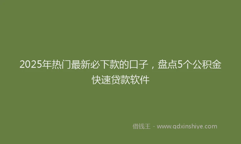 2025年热门最新必下款的口子，盘点5个公积金快速贷款软件