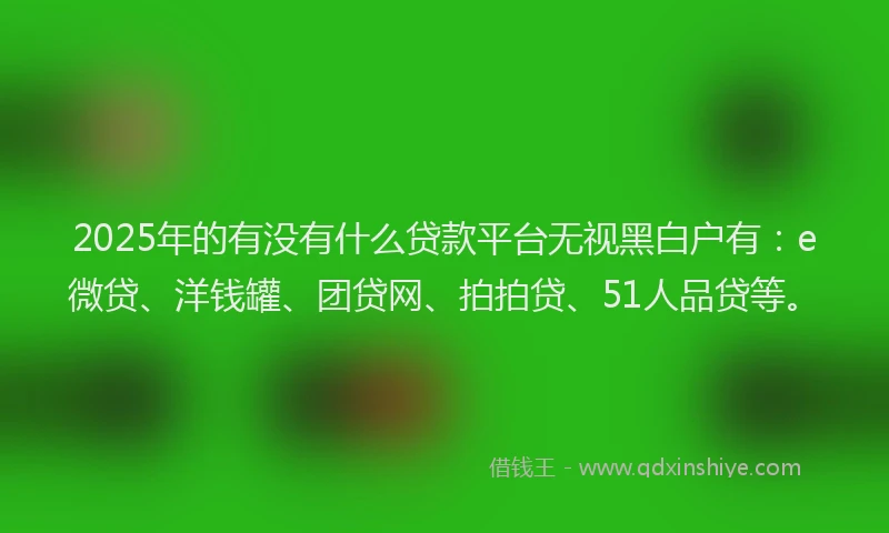2025年的有没有什么贷款平台无视黑白户有：e微贷、洋钱罐、团贷网、拍拍贷、51人品贷等。