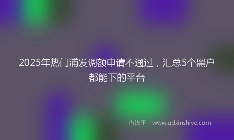 2025年热门浦发调额申请不通过，汇总5个黑户都能下的平台