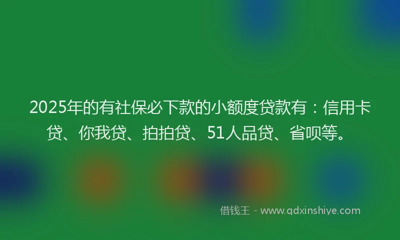 2025年的有社保必下款的小额度贷款有：信用卡贷、你我贷、拍拍贷、51人品贷、省呗等。
