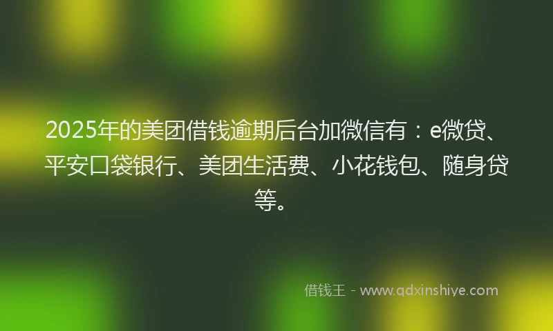 2025年的美团借钱逾期后台加微信有：e微贷、平安口袋银行、美团生活费、小花钱包、随身贷等。
