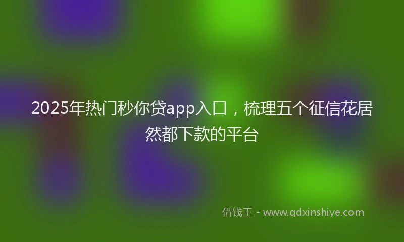 2025年热门秒你贷app入口，梳理五个征信花居然都下款的平台