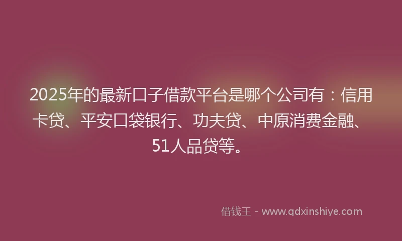 2025年的最新口子借款平台是哪个公司有：信用卡贷、平安口袋银行、功夫贷、中原消费金融、51人品贷等。