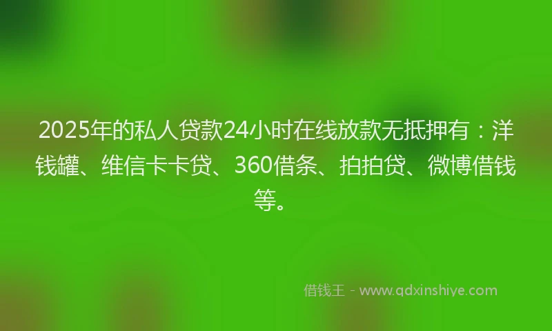 2025年的私人贷款24小时在线放款无抵押有：洋钱罐、维信卡卡贷、360借条、拍拍贷、微博借钱等。