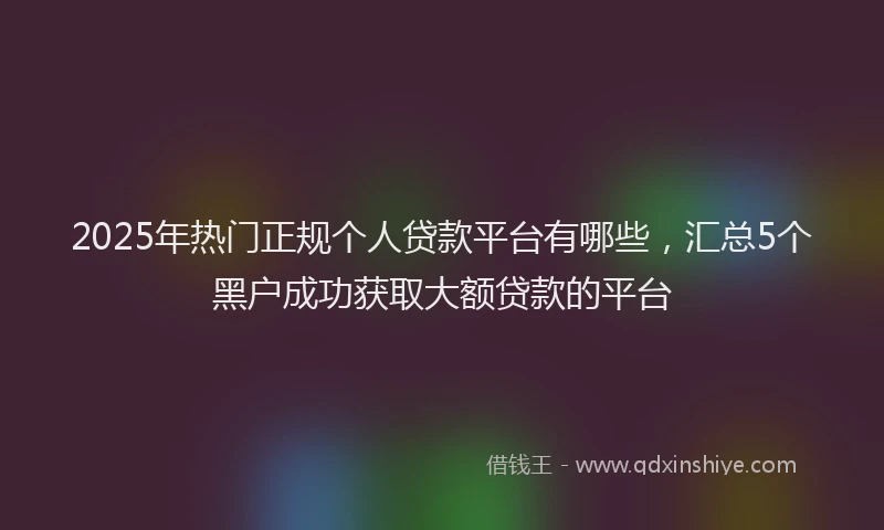 2025年热门正规个人贷款平台有哪些，汇总5个黑户成功获取大额贷款的平台