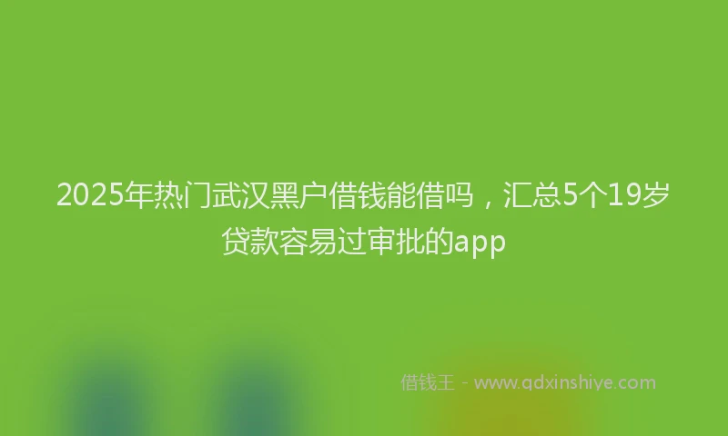 2025年热门武汉黑户借钱能借吗，汇总5个19岁贷款容易过审批的app