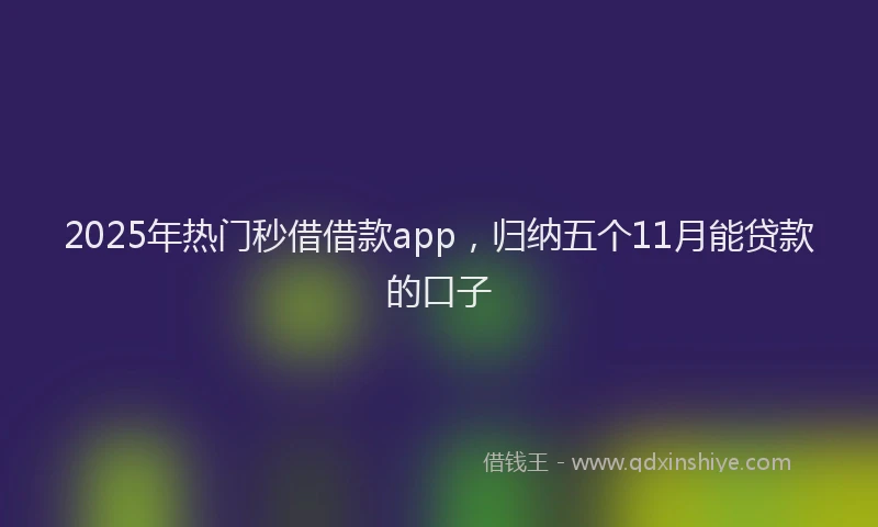 2025年热门秒借借款app，归纳五个11月能贷款的口子