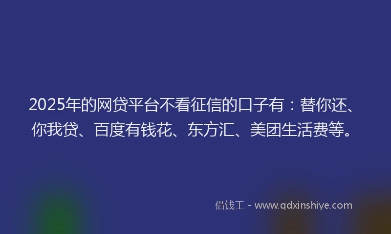 2025年的网贷平台不看征信的口子有：替你还、你我贷、百度有钱花、东方汇、美团生活费等。