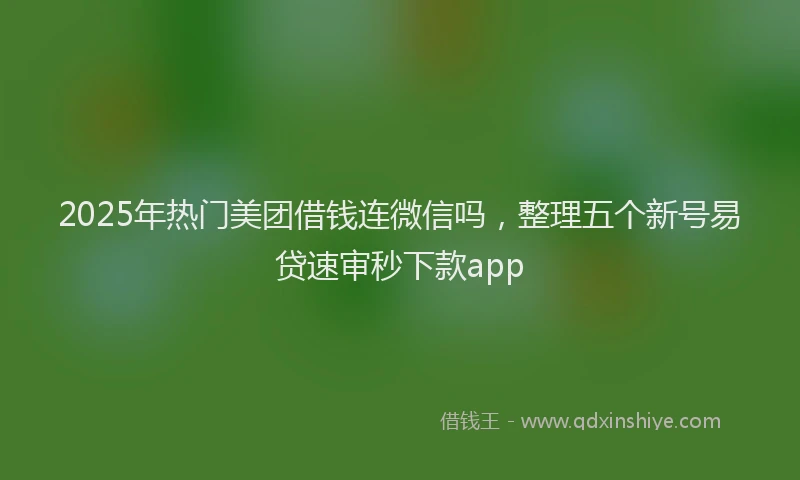 2025年热门美团借钱连微信吗，整理五个新号易贷速审秒下款app
