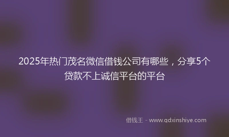 2025年热门茂名微信借钱公司有哪些，分享5个贷款不上诚信平台的平台