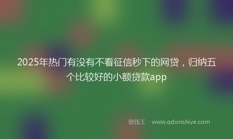 2025年热门有没有不看征信秒下的网贷，归纳五个比较好的小额贷款app