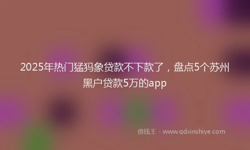 2025年热门猛犸象贷款不下款了，盘点5个苏州黑户贷款5万的app