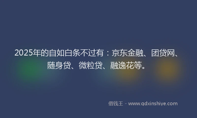 2025年的自如白条不过有：京东金融、团贷网、随身贷、微粒贷、融逸花等。