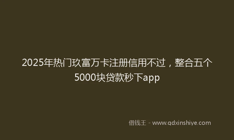 2025年热门玖富万卡注册信用不过，整合五个5000块贷款秒下app
