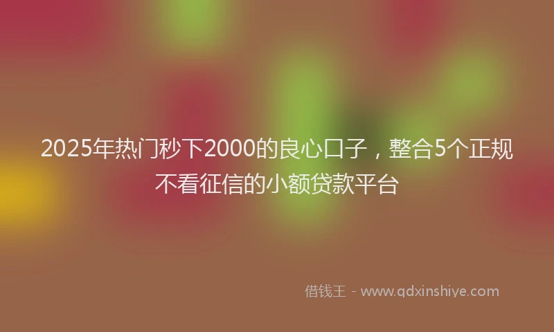 2025年热门秒下2000的良心口子，整合5个正规不看征信的小额贷款平台