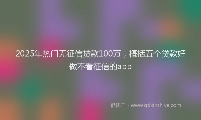 2025年热门无征信贷款100万，概括五个贷款好做不看征信的app