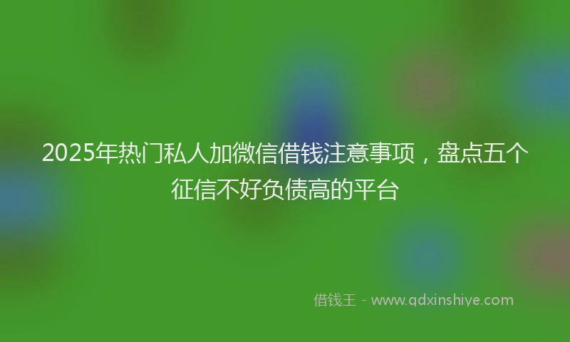 2025年热门私人加微信借钱注意事项，盘点五个征信不好负债高的平台