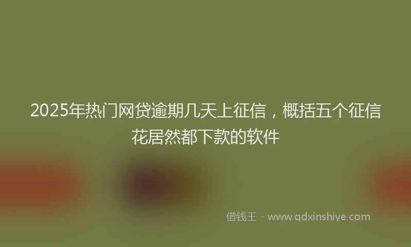 2025年热门网贷逾期几天上征信，概括五个征信花居然都下款的软件